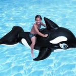 Whale Floatation